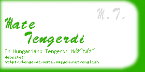 mate tengerdi business card